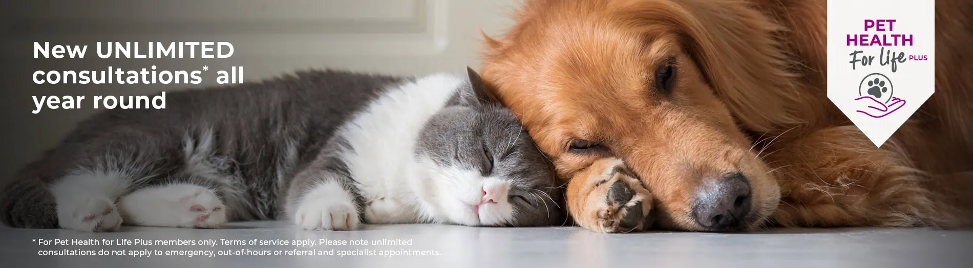 Pet Health for Life Plans | Blythwood Vets