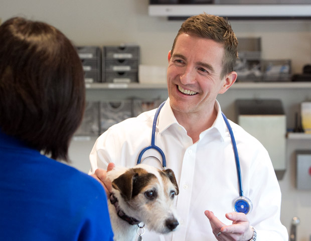 Blythwood vet tending to pets as vets near you