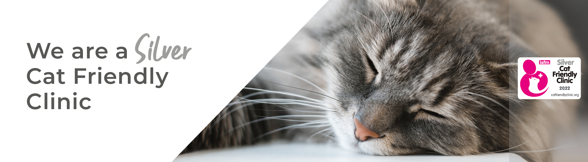 Cat Friendly Clinic | Silver Level Accredited | Blythwood Vets