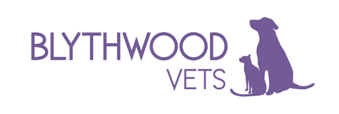 Blythwood Pet Advice Column
