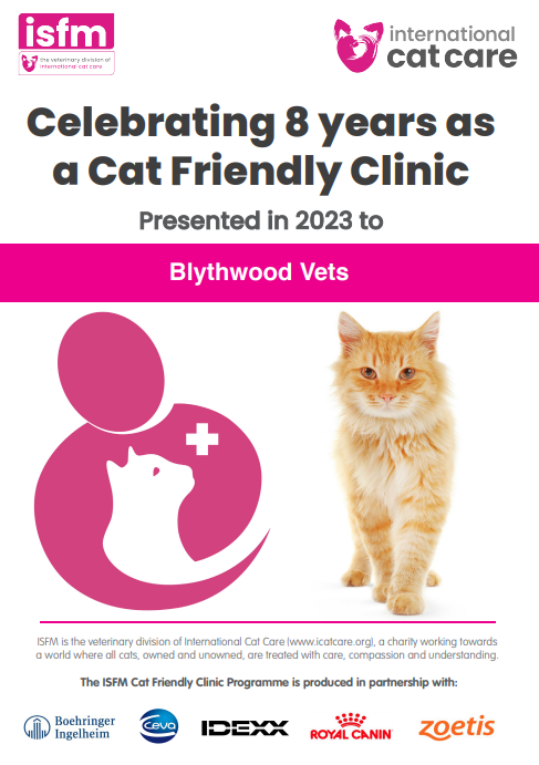Blythwood vets in middlesex celebrates 8 years of being cat friendly accredited