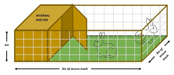 Rabbit-shelter-internal