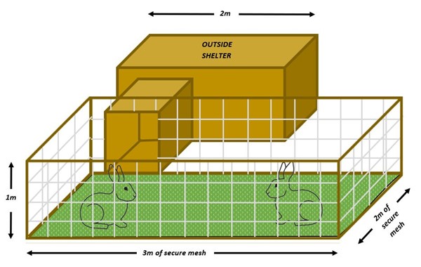 Rabbit-shelter-outside