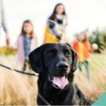 A black dog stood in front of a family