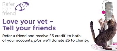 Blythwood refer a friend