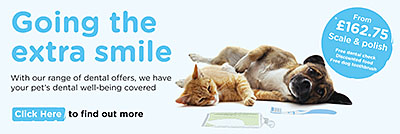 Blythwood dental banner Pet Dental Care