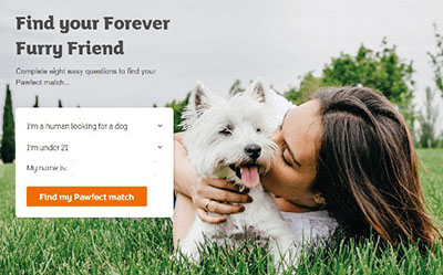 Pawfect Match Tool