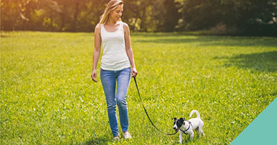 Walking a dog