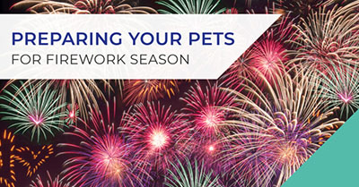 Seasonal pets firework season