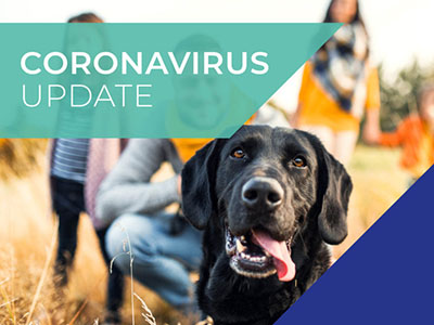 Coronavirus update