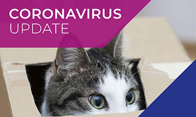 Corona virus Update