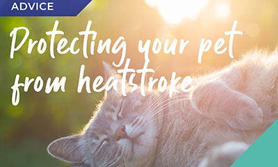 sun and heatstroke