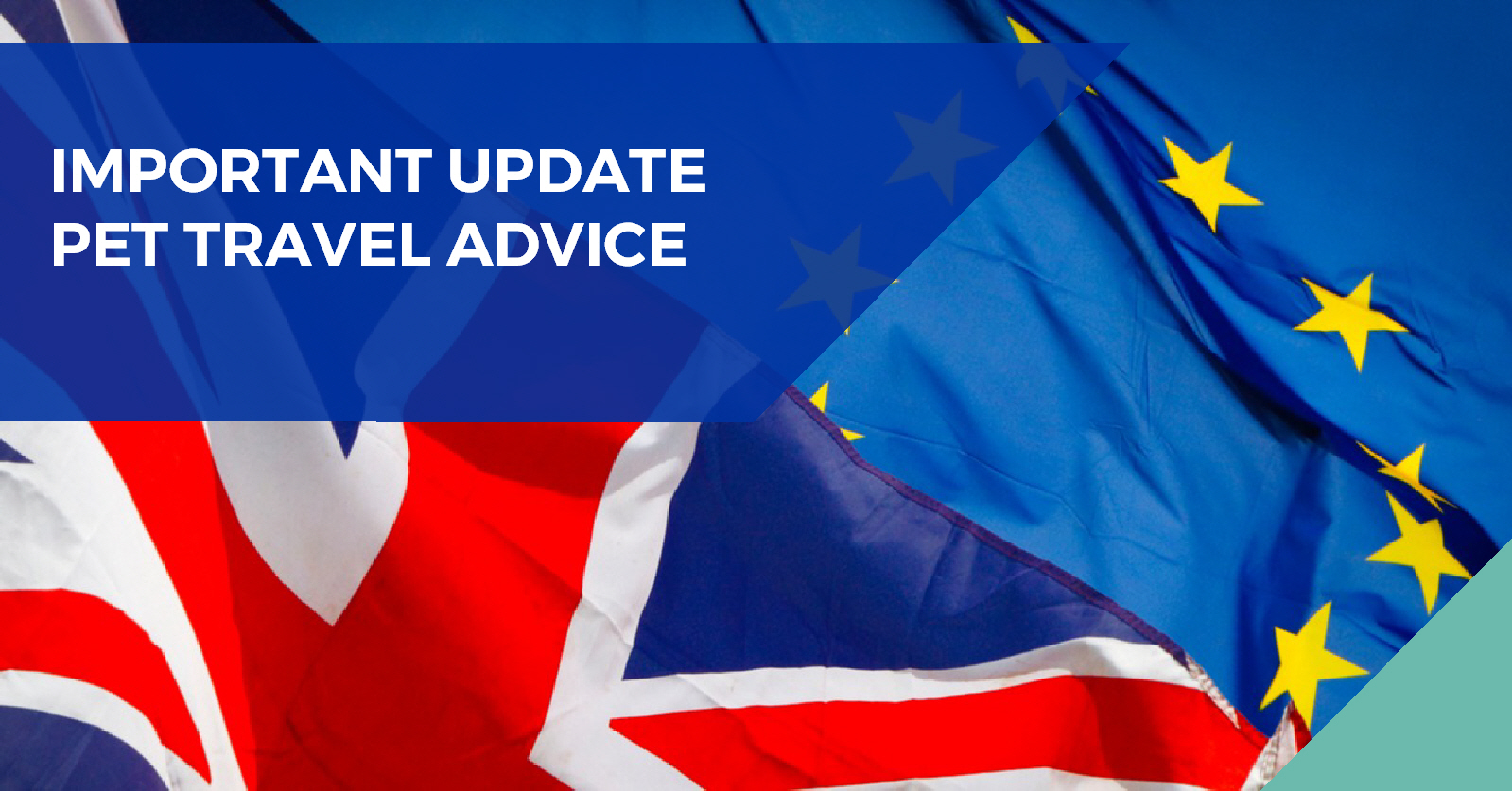 Pet travel advice 16.12.20