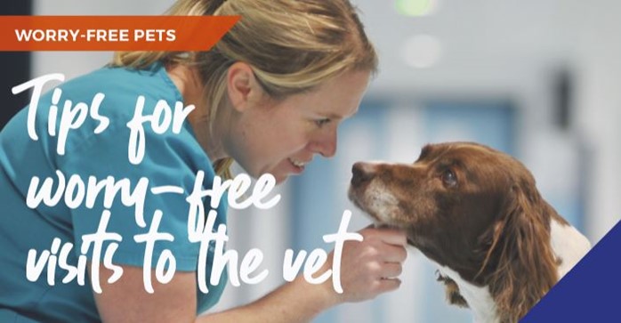 worry-free-visits