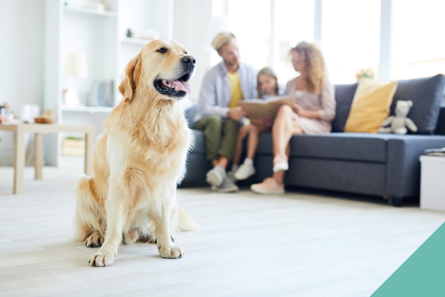 A dog sitting down whilst three people sit on a sofa