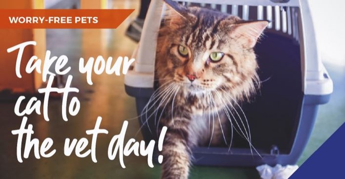 An infographic with a cat in a carrier