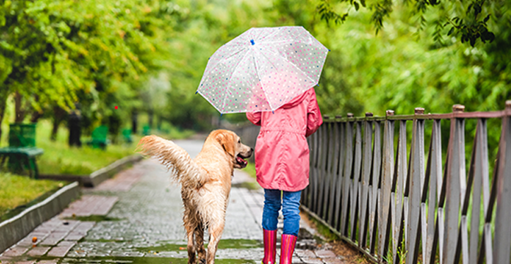 dog-walking-pet-behaviour