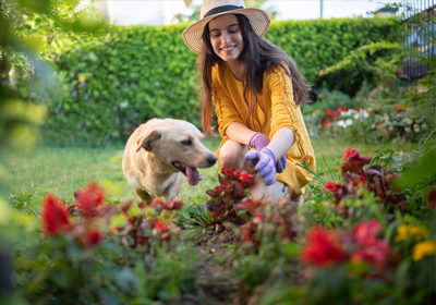 A woman and a dog looking at flowers