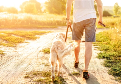 A man walking his dog on a bright summer day