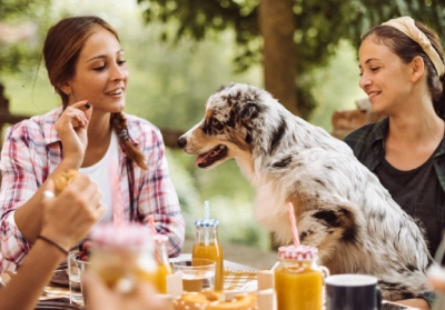 A dog sat at a picnic table with two people