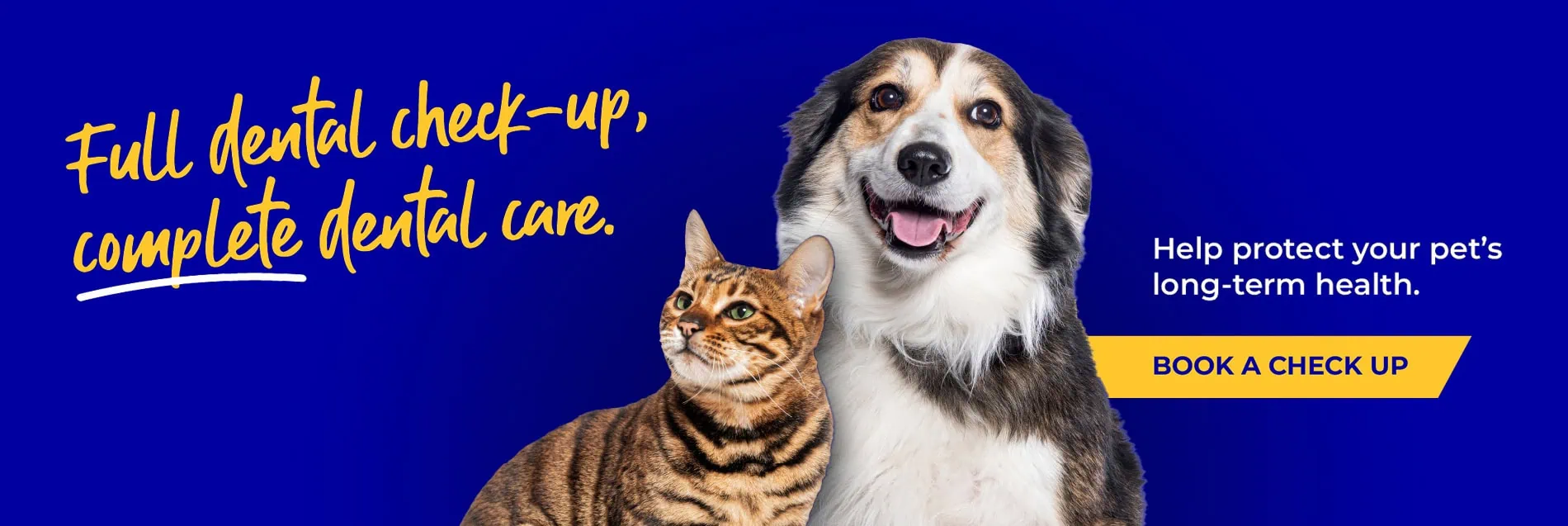 Vets in North London | Vets Near Me | Blythwood Vets