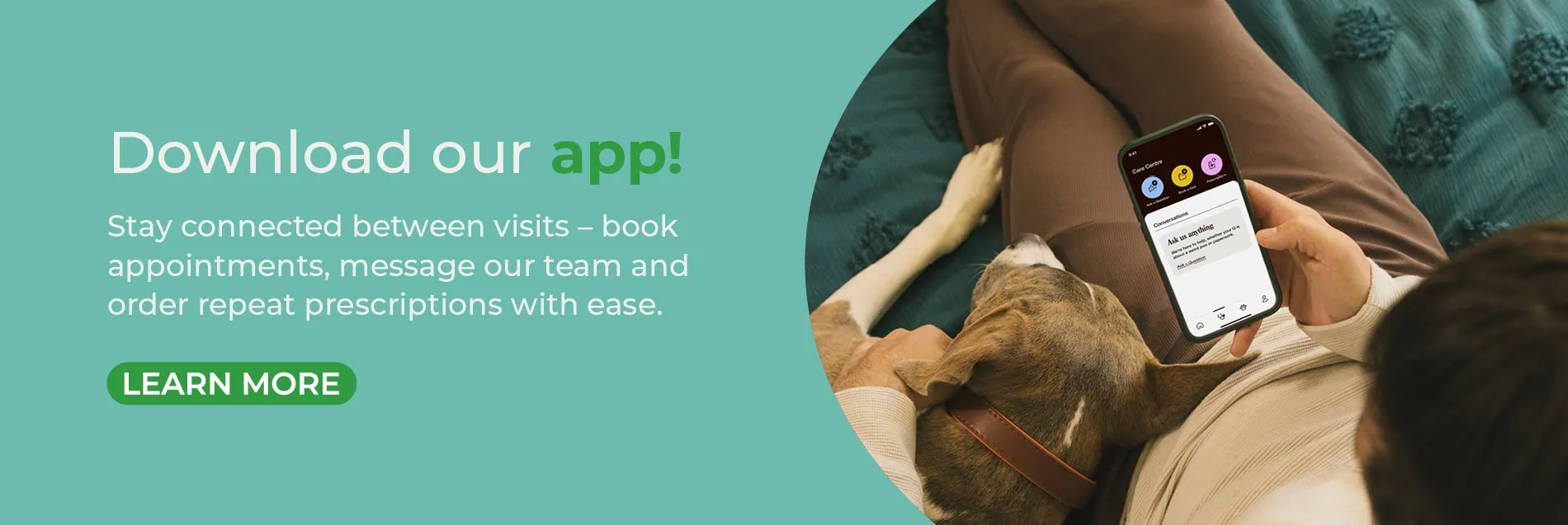 Vets in North London | Vets Near Me | Blythwood Vets