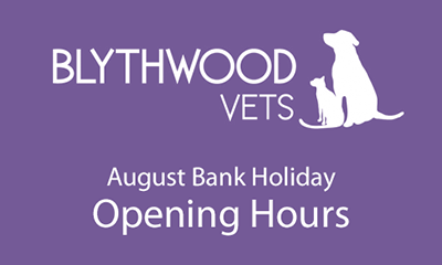 August 2019 Bank Holiday Opening Hours