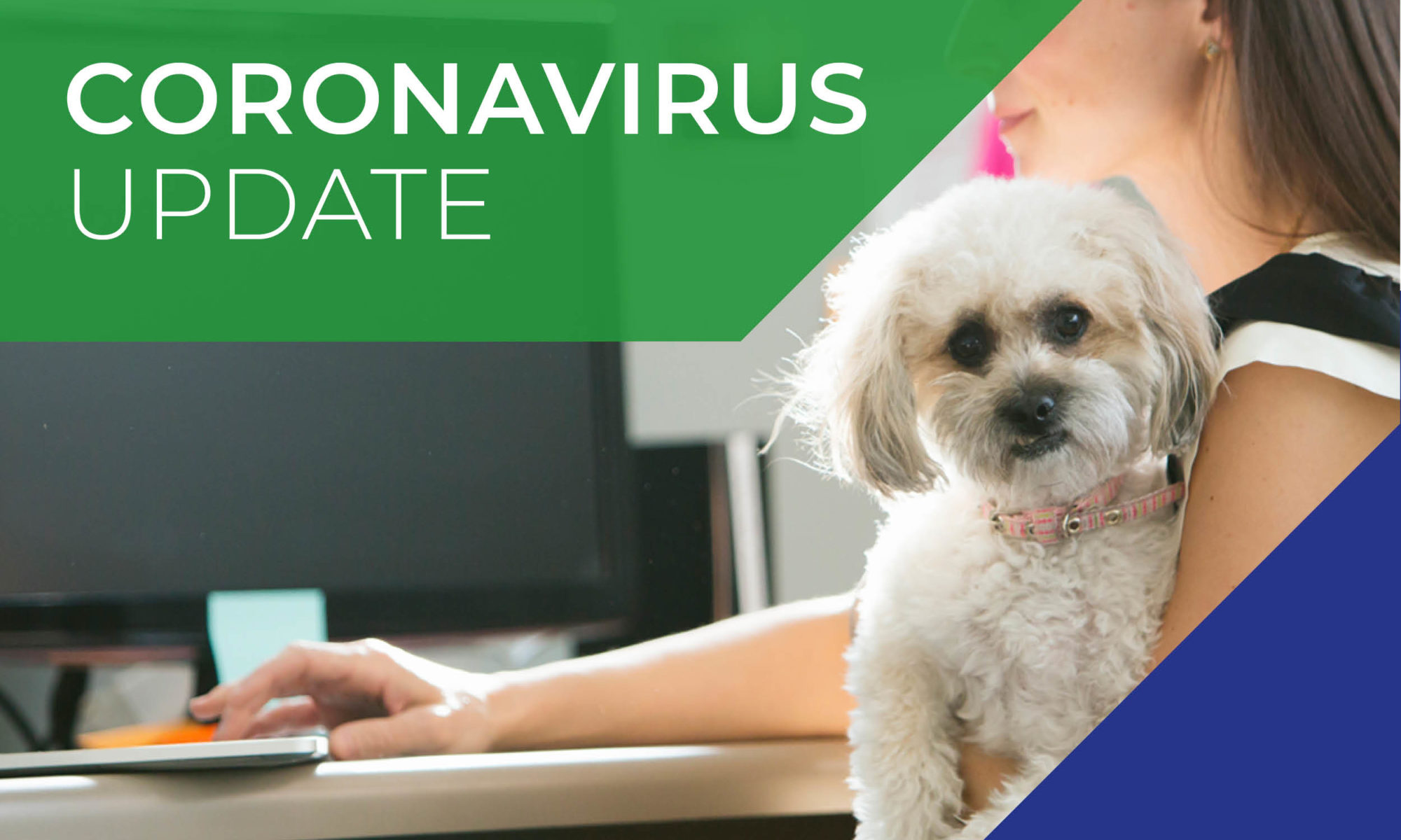 Corona virus pet update