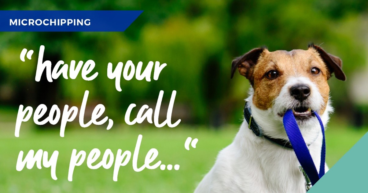 Microchip deals your pet